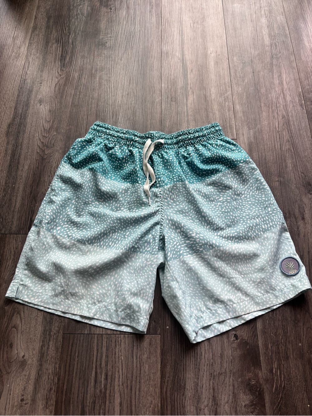 Chubbies Swim Trunks